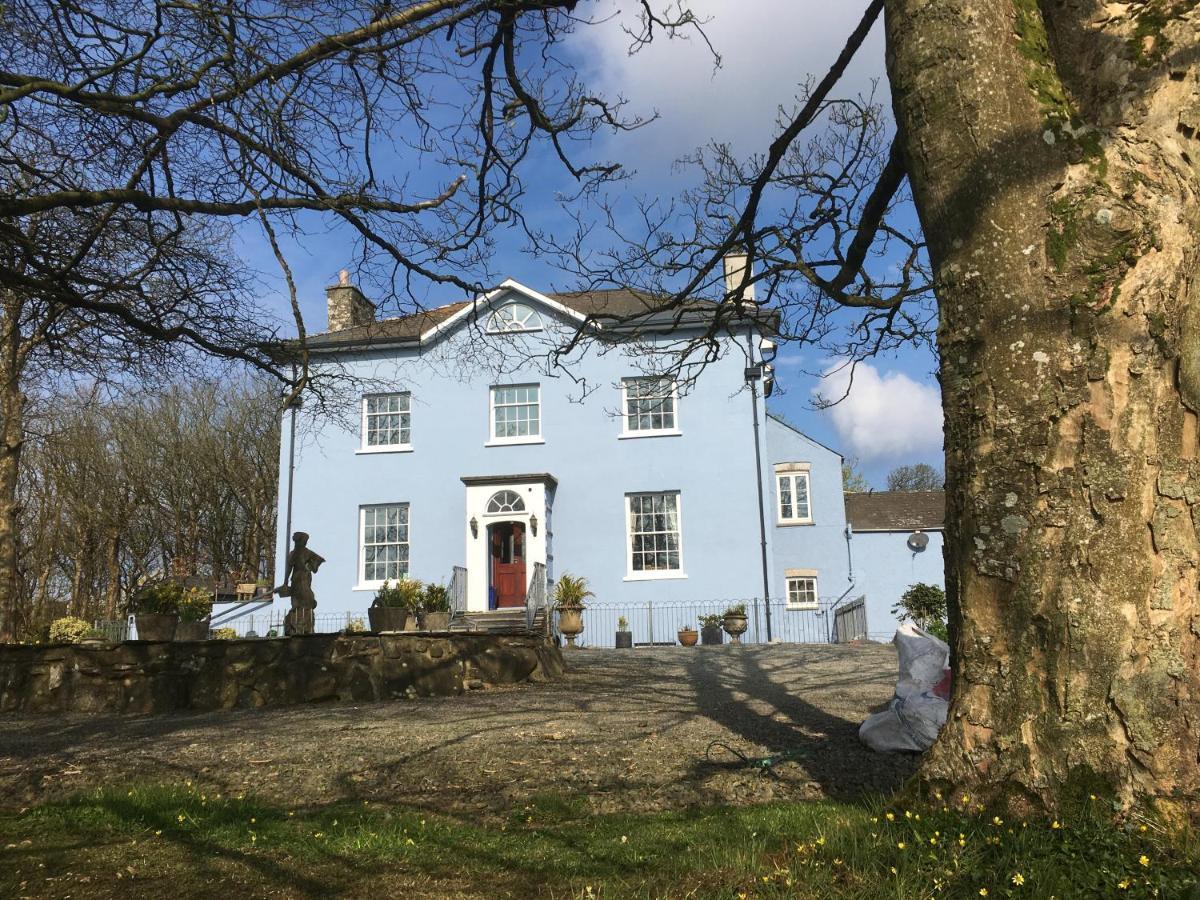 Crug Glas Country House 세인트데이비즈 외부 사진