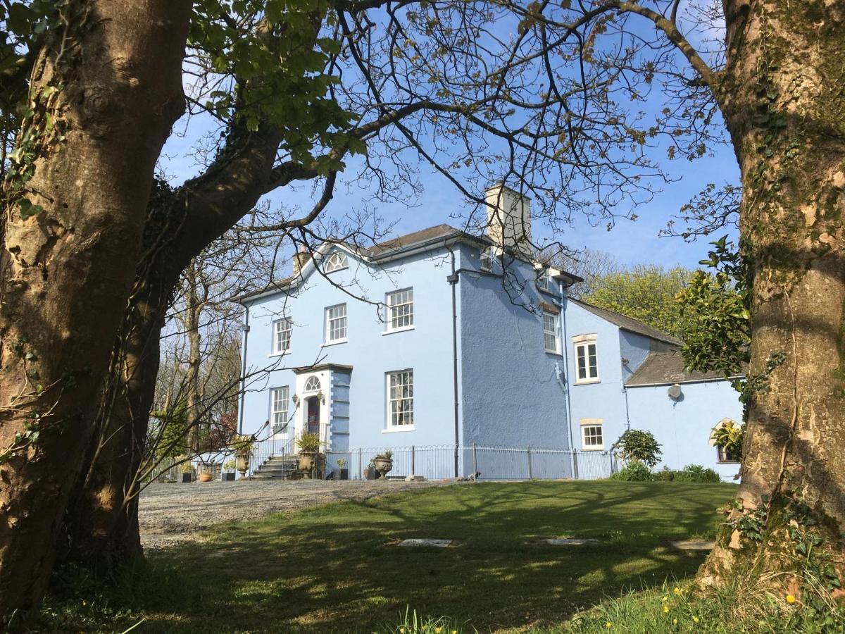 Crug Glas Country House 세인트데이비즈 외부 사진